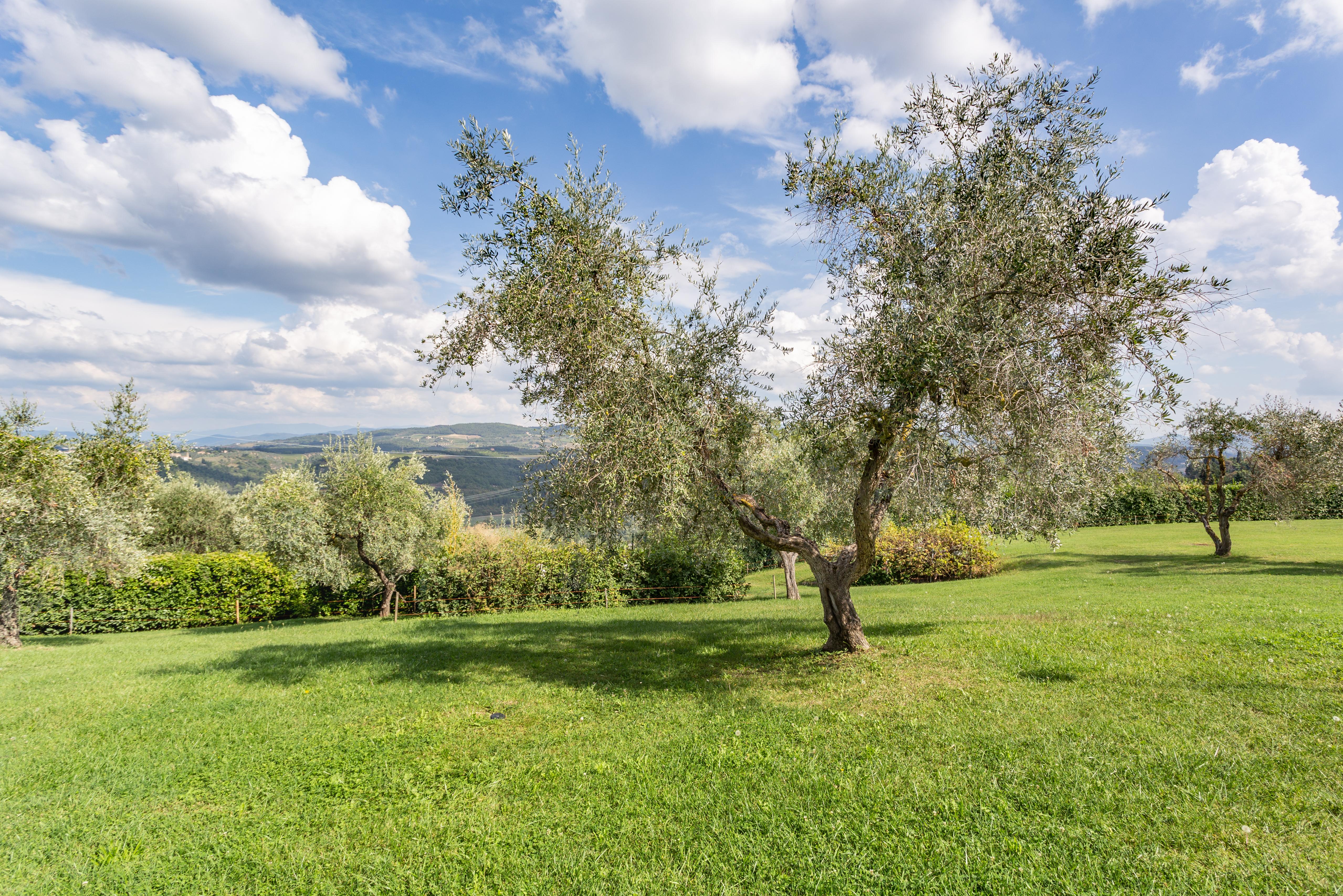 Гостевой дом Fattoria Querceto Tavarnelle Val di Pesa Экстерьер фото